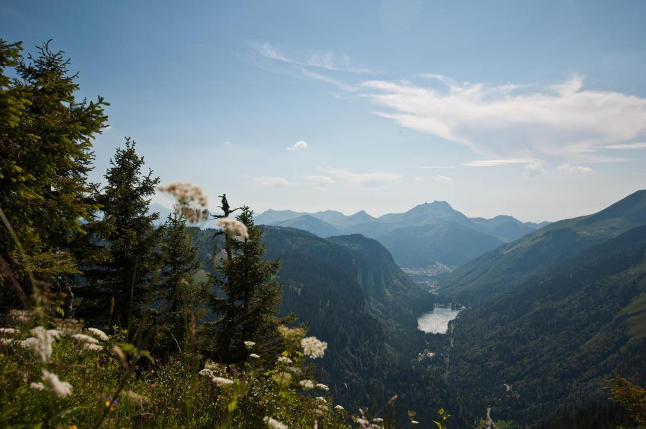 Chalet Sur Les Monts Morzine Montriond Zewnętrze zdjęcie